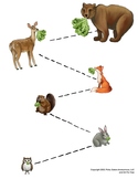 Forest Animal Bite Size Chart