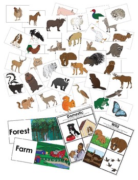 Forest Animal Bundle Pack by My Inside Shoes | Teachers Pay Teachers