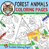 Forest Animal Coloring Pages for Preschool | Kindergarten 