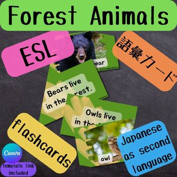 Preview of Forest Animal Flashcards for ESL ＆ Japanese as a second language 語彙カード - 森の動物