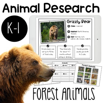 Preview of Forest Animals Research Report | Digital option included