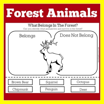 Forest Woodland Animals Worksheet Activity | Pre Kindergarten 1st Grade  Science