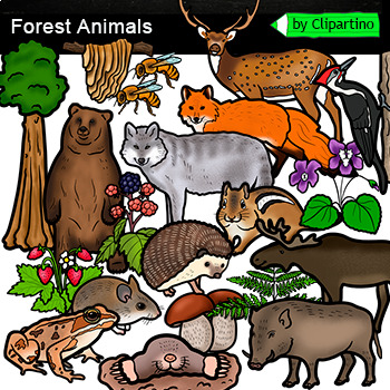 Preview of Forest Animals Clip Art Commercial use /Woodland Habitats Clip Art
