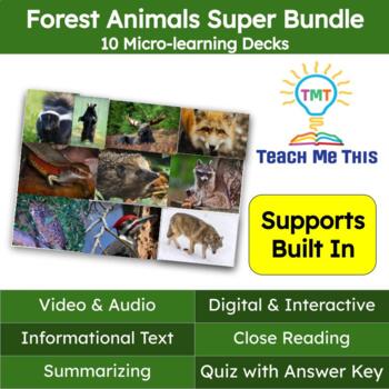 Preview of Forest Animals Informational Text Reading Passage and Activities Super Bundle