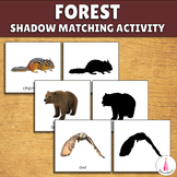 Forest Animals Visual Discrimination Activity - Shadow Matching