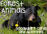 Forest Animals Vocabulary Cards and Activities