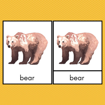 https://ecdn.teacherspayteachers.com/thumbitem/Forest-Animals-and-Footprints-Montessori-3-Part-Cards-5019040-1583240424/original-5019040-2.jpg