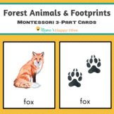 Forest Animals and Footprints Montessori 3-Part Cards