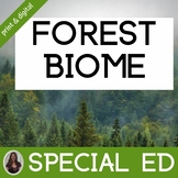 Forest Biome for Special Education | Temperate Rainforest Taiga