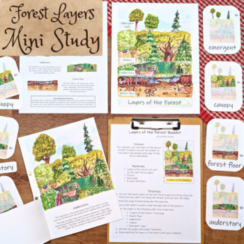 Preview of Layers of the Forest: printable handout, poster, flashcards, and mini booklet