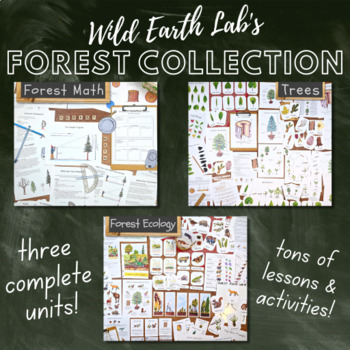 Preview of Forest Collection: Three complete tree and forest-themed units!