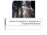 Forest Connections: Temperate vs Tropical Rainforests