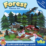 Forest Craft Activity | Coniferous Forest Habitat Diorama 