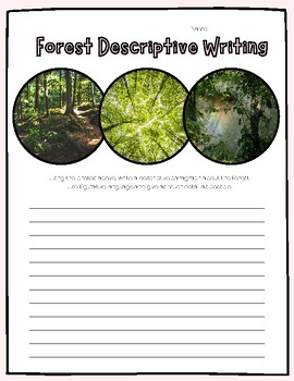 Forest Descriptive Writing by Dow Farms | TPT