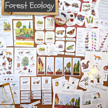 Preview of Forest Ecology Unit: HUGE collection of printable ecosystem learning materials