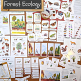 Forest Ecology Unit: HUGE collection of printable ecosyste