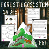 Forest Ecosystem Science Diorama Project Based Learning