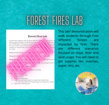 Preview of Forest Fires Lab