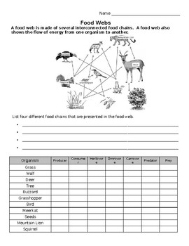 Forest Food Web Practice Worksheet by Breda Science and History | TPT