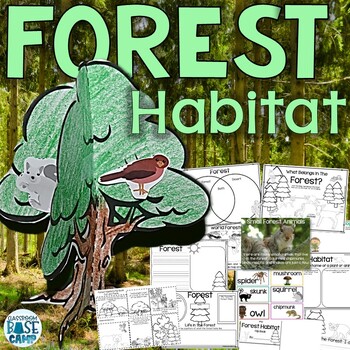 Preview of Forest Animals Habitat