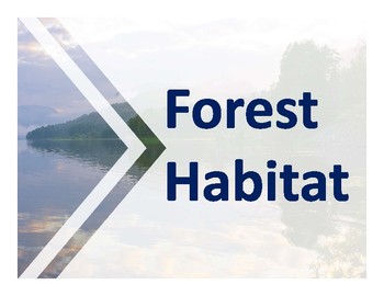 Preview of Forest Habitat PowerPoint-includes definitions and pictures of Forest Habitats.