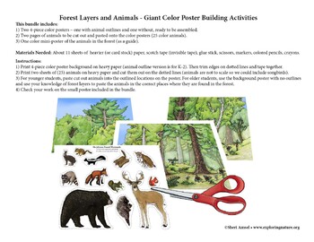 Preview of Forest Layers and Animals - Giant Poster Building (and Coloring) Activities