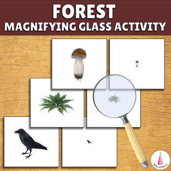 Preview of Forest Montessori Matching Activity