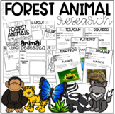 Forest / Rainforest Animal Research (K-1)