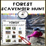 Forest Scavenger Hunt | Printable Checklist for Outdoor Na