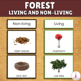 Forest Sorting Activity - Living and Non-living