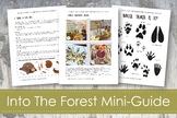 Forest Study Curriculum; Nature-Based Learning Guide; Ages 3-9