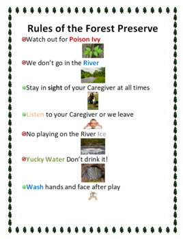 Preview of Forest Unit Exploring the Forest Rules