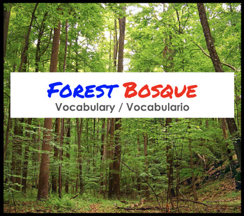 Preview of Forest Vocabulary / Bosque Vocabulario