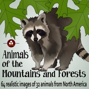 Forest Animals Realistic Clip Art by UtahRoots | TPT