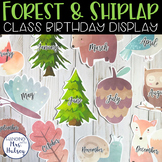 Forest and Shiplap Birthday Display