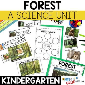 Preview of Forest and Woodlands Habitat Science Lessons and Activities for Kindergarten