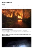 Forest fires Learning sheet - Current climate disasters (i