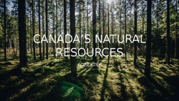 Preview of Forestry - Canada's Natural Resources [Powerpoint, Video, Slides Lesson]