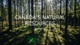 Forestry - Canada's Natural Resources [Powerpoint, Video, 