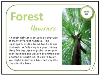 Preview of Forests Habitat and Adaptations PDF Presentation