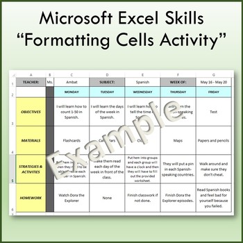 Preview of Formatting Cells Lesson Activity for Teaching Microsoft Excel