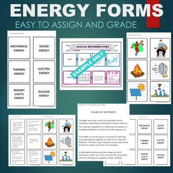 Preview of Forms of Energy (Mechanical, Thermal, Sound) Sort & Match STATIONS Activity