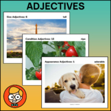 Formulating Sentences with Adjectives