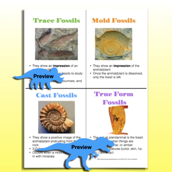 Fossil Anchor Chart by The Tutor's Assistant | TPT