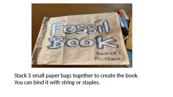 Preview of Fossil Book Project