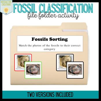 Fossil Classification Sorting by Interactive Creations | TpT