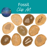 Fossil Clip Art / Dinosaur Clip Art / Archeology Clip Art