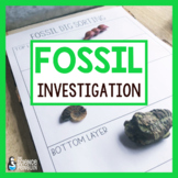 Fossil Dig Lab Investigation | Fossils and Past Environments