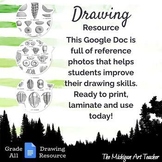 Fossil Drawing Resource - Art and Science Reference Photos