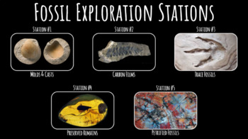 Preview of Fossil Exploration Stations